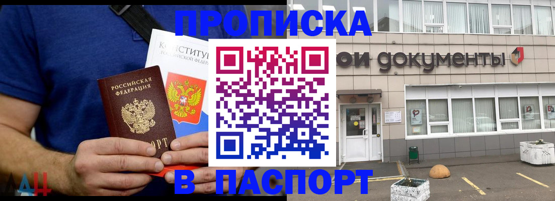 прописка паспорт в Сольцах
